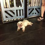 Edwin Liang - @liang_edwin - Instagram