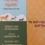 Edwin Lima - @fur_everfriends - Instagram