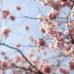Edwin Lind - Facebook