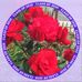 Edwin Lindsay - Facebook