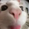 Edwinling - @2149407180 - TikTok
