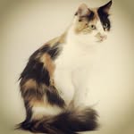 Edwin Linton - @ninjakitty7624 - Instagram