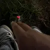 edwin.inz - @edwin.inz - TikTok