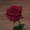 edwinlocke231 - @edwinlocke231 - TikTok