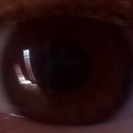 Edwin Loomis - @monstermiles777 - Instagram