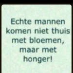 Edwin Loos - @kokedwin - Instagram