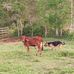 Edwin Lopera - Facebook