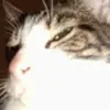 edwinlottum - @edwinlottum - TikTok