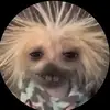 Everyoneluvsedwin - @edwinlovesjesus - TikTok