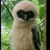 EDWIN LOZA - @edwin.loza - TikTok
