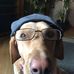 Ed Ludwig - Facebook