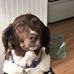 Ed Lundin - Facebook