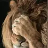 edwinlynndd - @edwinlynndd - TikTok