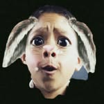 Edwin Macedo - @edwin_macedo000 - Instagram