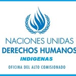 Edwin Madriz - @derechosdeconsultaindigena - Instagram