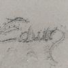 Edwin Magallanes - @edwinlm0 - TikTok