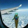 Edwin_magne - @edwinmagnesad - TikTok
