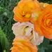 Edwin Machan - Facebook