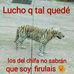Edwin Marengo Paredes - Facebook