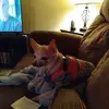edwinmayes - @edwinmayes - TikTok