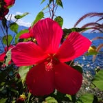 Edwin Mccall - @obesomiangu - Instagram