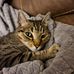 Edwin McHenry - Facebook