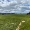Edwina McMillan - @edwina.mcmillan5 - TikTok