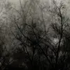 MELVIN EDWIN - @melvin.edwin - TikTok