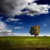 MELVIN EDWIN - @melvin.edwin0 - TikTok