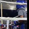 Edwin🏆🥊 - @edwinmencos123 - TikTok