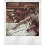 Edwin Mercer - @hearfredluc - Instagram