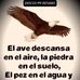 Edwin Mirabal - Facebook