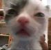 Edwin Mo - Facebook