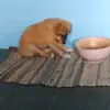 Edwinmohan - @user88790652538675 - TikTok