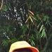 Edwin Edwin Momanyi - Facebook