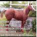 Edwin Moncada - Facebook