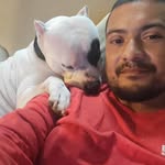 Edwin Montiel - @edwinmontiel32 - Instagram
