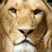 Edwyn Montoute - Facebook