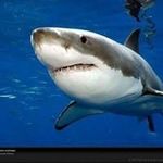 Edwin Monzon - @edwinmonzon80 - Instagram