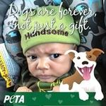 Edwin Monzon - @edwin.monzon.39 - Instagram