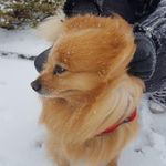 Teddy - @tedwinmoody - Instagram