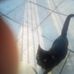 Edwin Mooney - Facebook