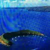 Edwin Moore - @edwin.moore6 - TikTok