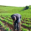 Edwin Mugo - @edwinmugo230 - TikTok