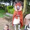 edwinmuirurikiman - @edwinmuirurikiman - TikTok