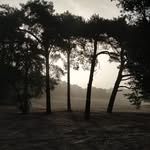 Edwin Mulder Fotografeert - @edwinmulderfotografeert - Instagram