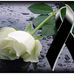 Edwin Mullo - Facebook
