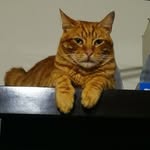 Edwin Nacion Gutierrez - @naciongutierrez - Instagram