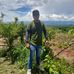Edwin Najera - Facebook