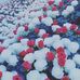 Nasir Uddin - Facebook